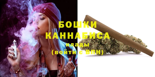 гидропоника Белокуриха