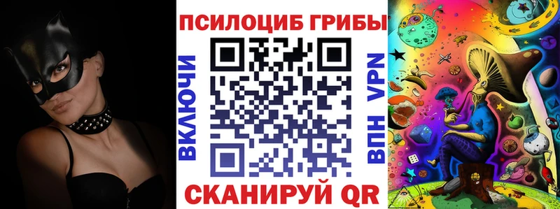 Псилоцибиновые грибы мицелий  продажа наркотиков  OMG рабочий сайт  Берёзовка 